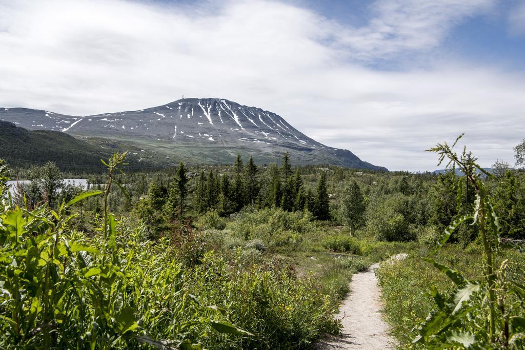 Kvitavatn Fjellstue Gaustablikk Kültér fotó