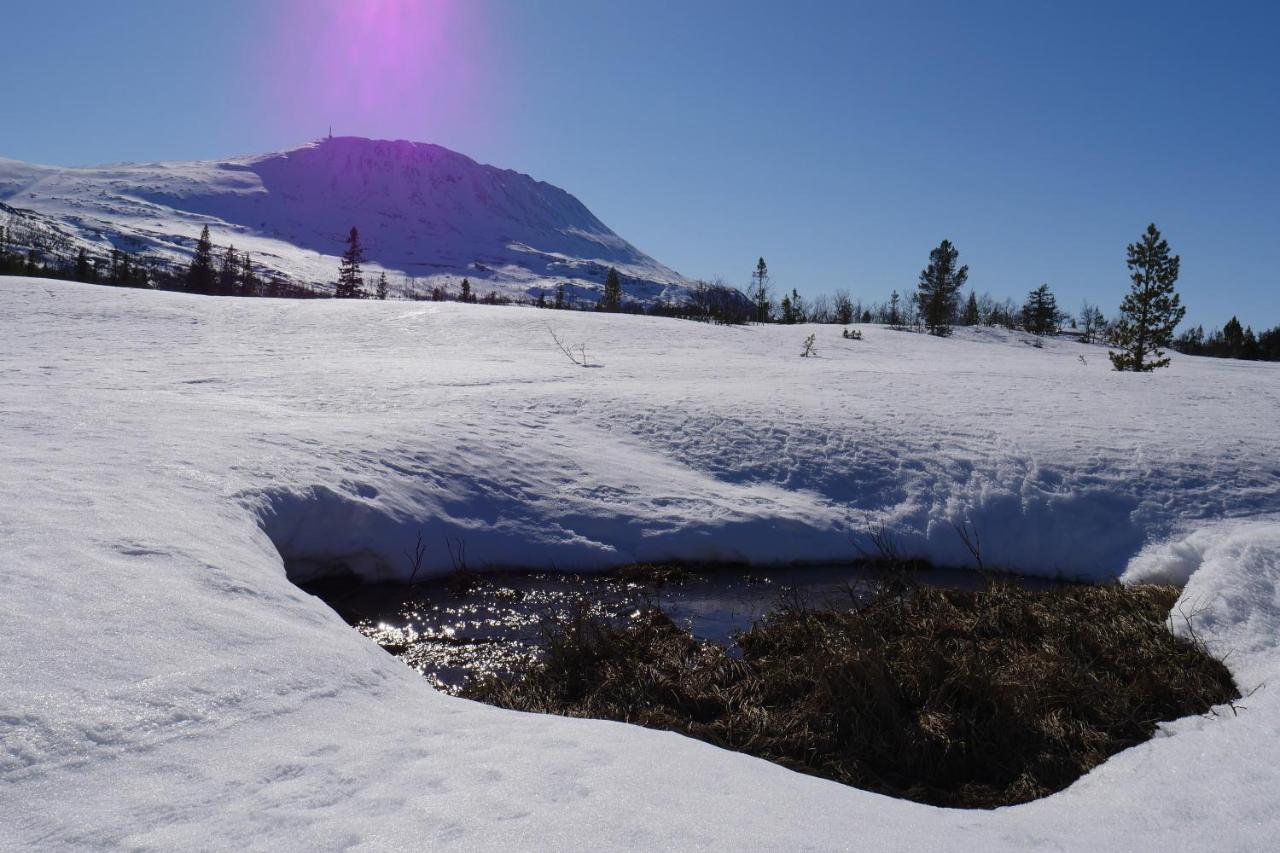 Kvitavatn Fjellstue Gaustablikk Kültér fotó